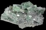 Fluorescent, Green, Cubic Fluorite Crystals (New Find) - China #93657-4